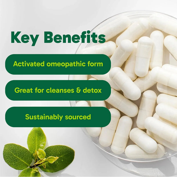 Canadian-Made Activated Charcoal Capsules - Natural Digestive Support for Detox, Gas Relief, and Bloating - 90 Veggie Caps